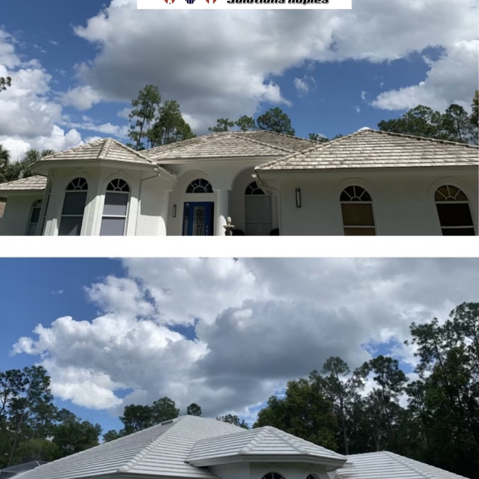 Roof cleaning