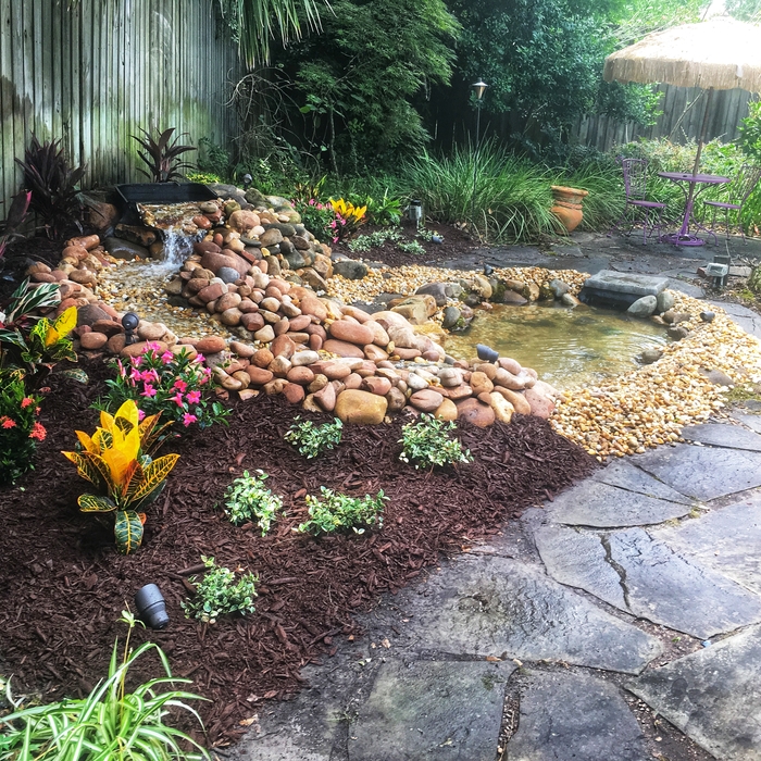 Waterfall Pond