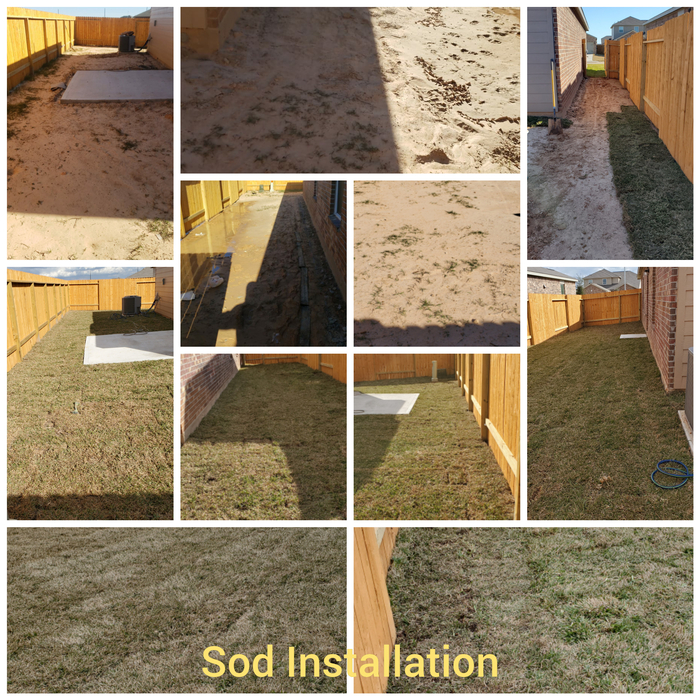 Sod Installation