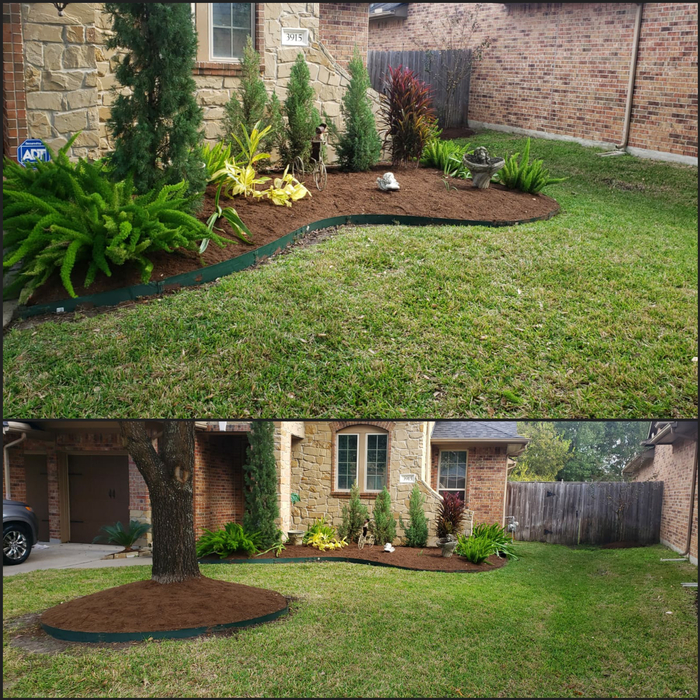 Mulch and plants.