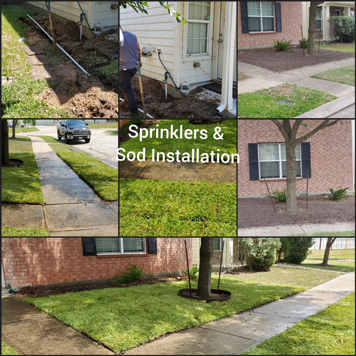 Sod &amp; sprinklers installation