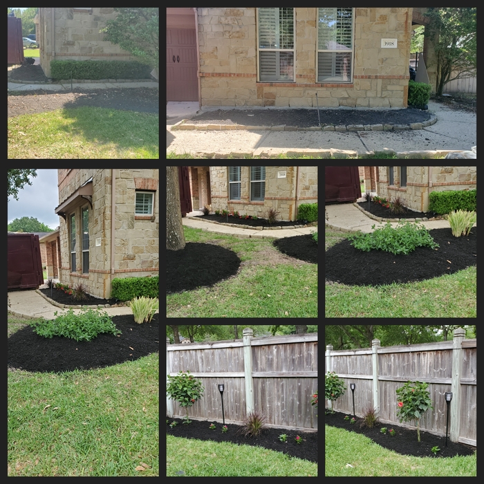 Mulch and plants.