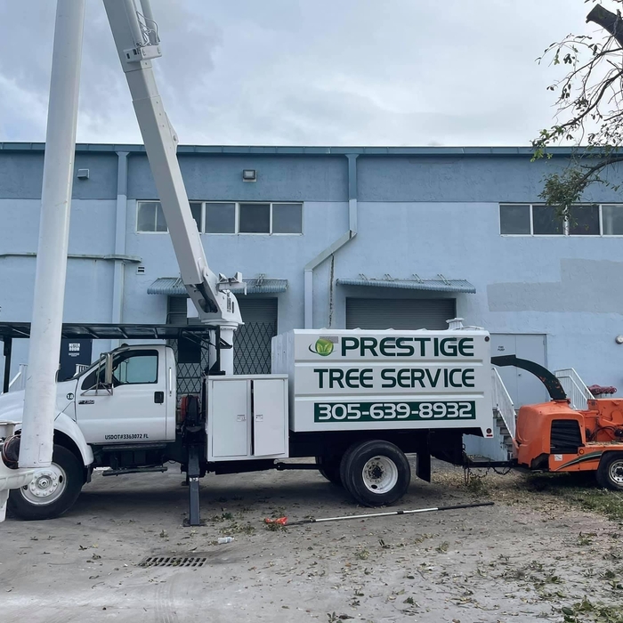 Tree Service