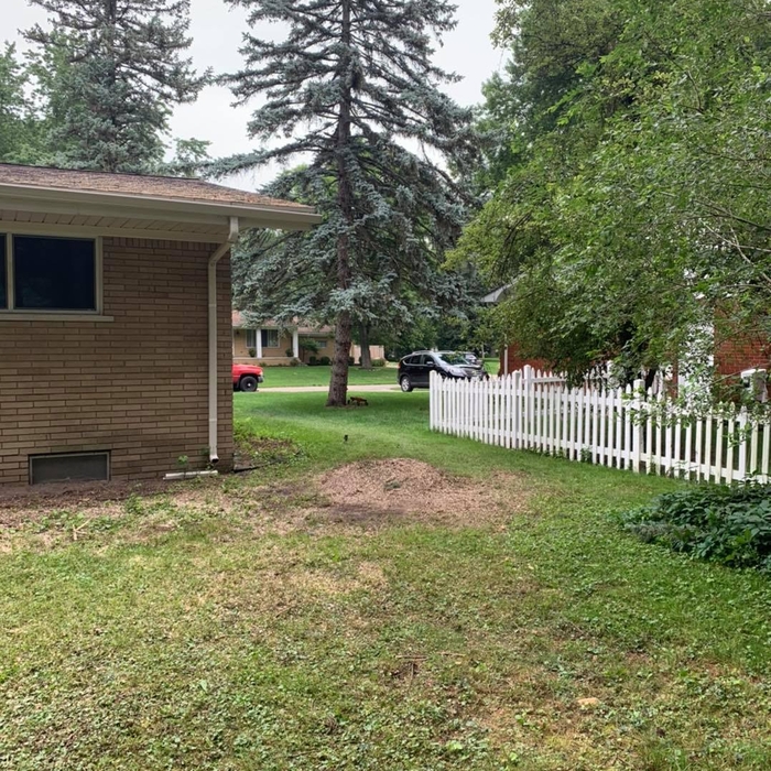 Removal &amp; Stump