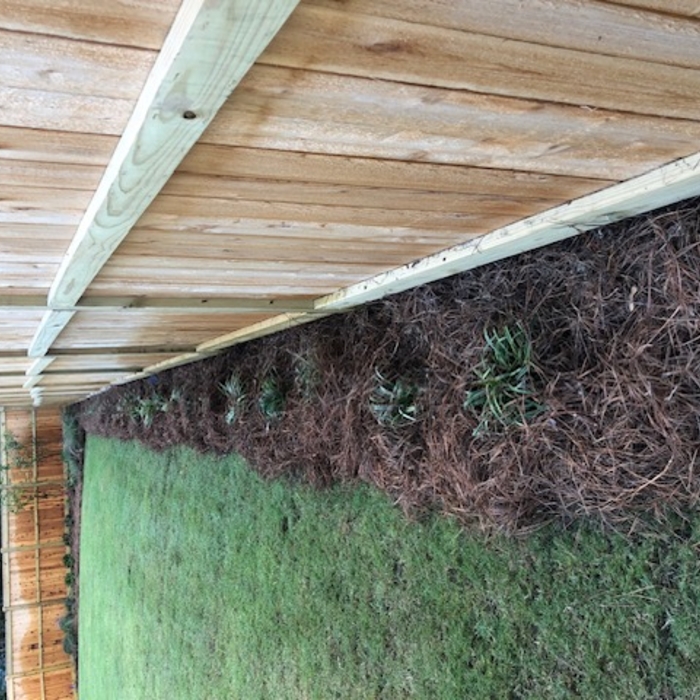 Flower bed (pic 4)
