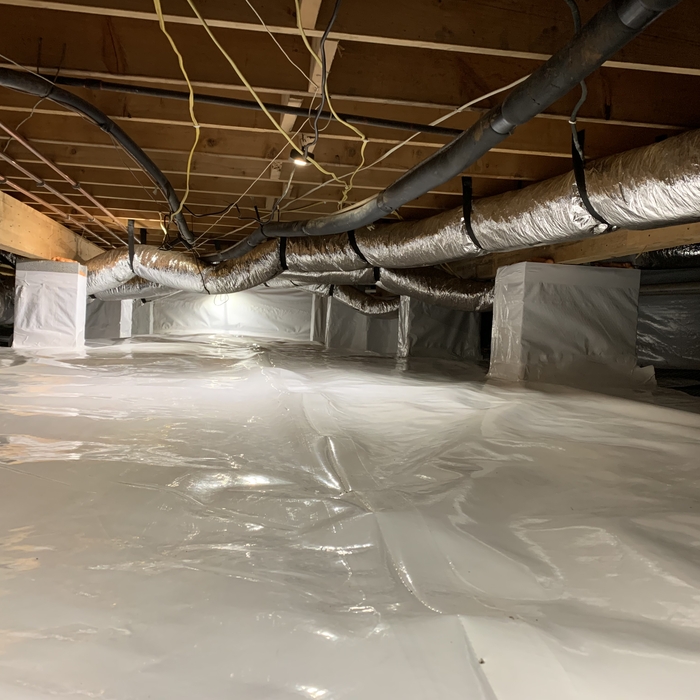 Crawlspace Encapsulation / Mold Remediation