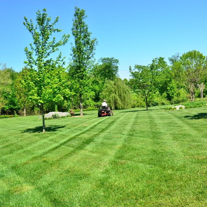 lawncare
