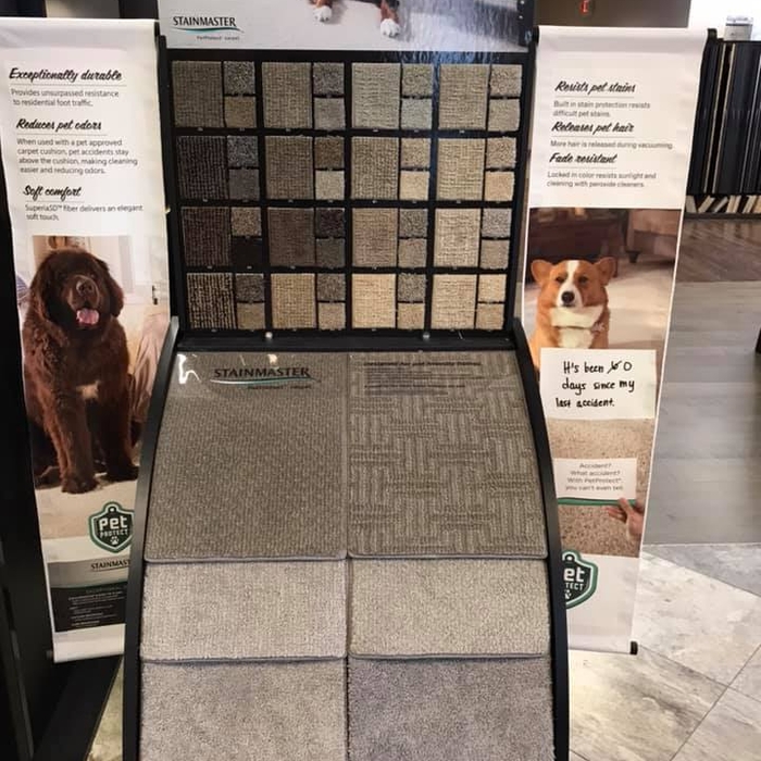 Stain Master Carpet pets / kid friendly
