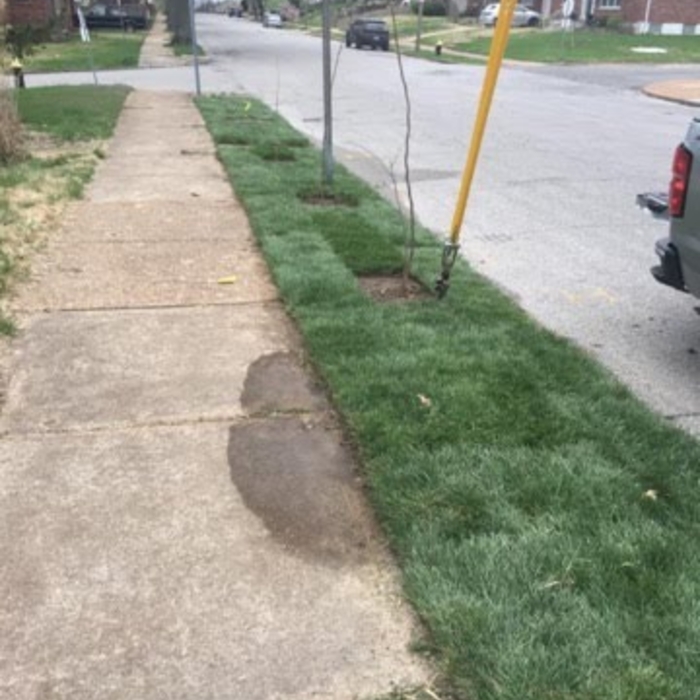 Sod Install