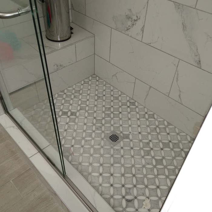 Shower door
