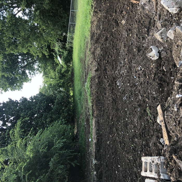 Finished Project