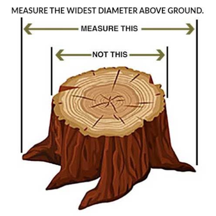 Stump measurement for estimate