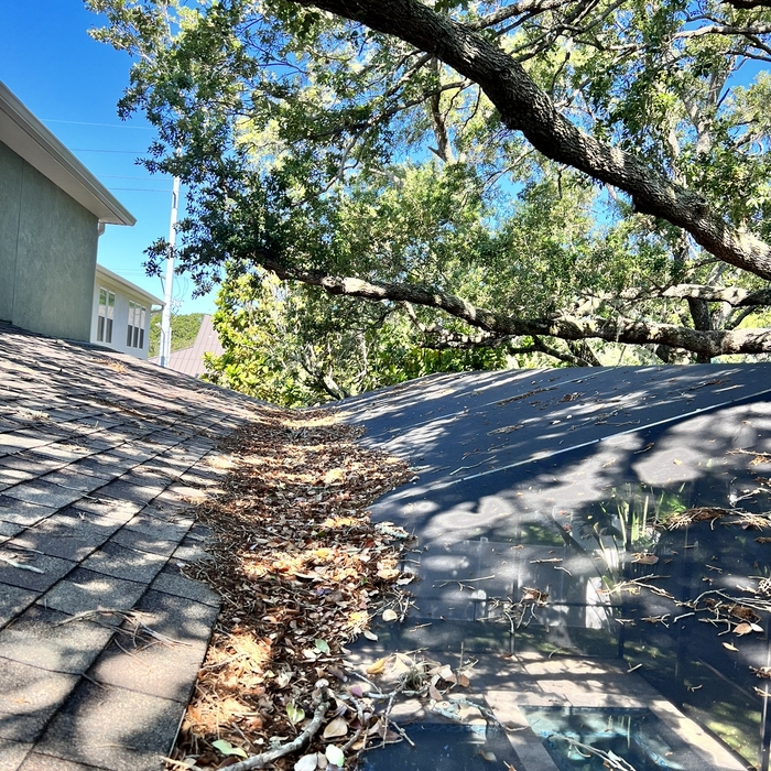 Gutter Cleaning Before