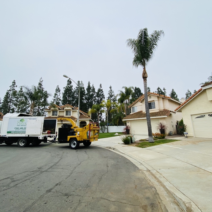 La Costa Trucks