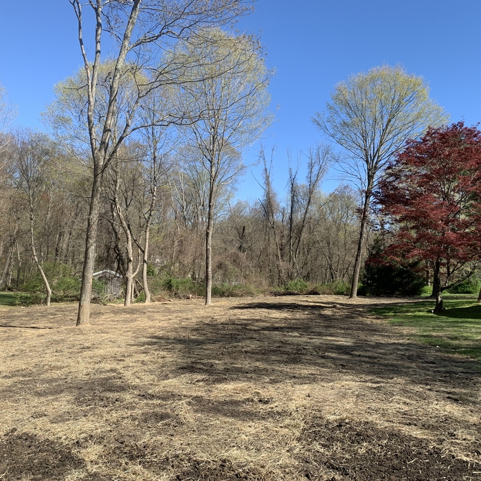 Loam spread, raked seeded and hay