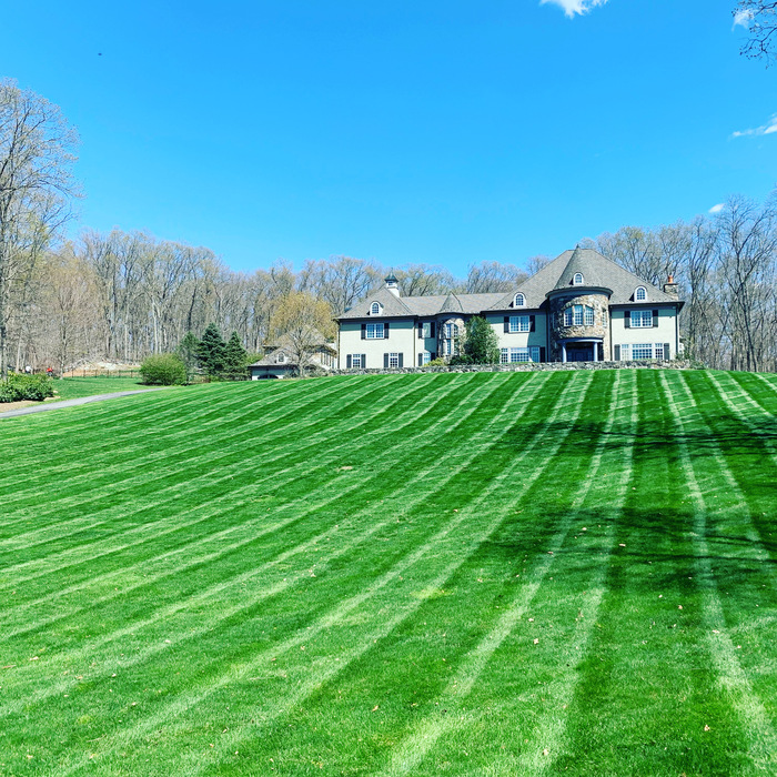 Lawn maintenance