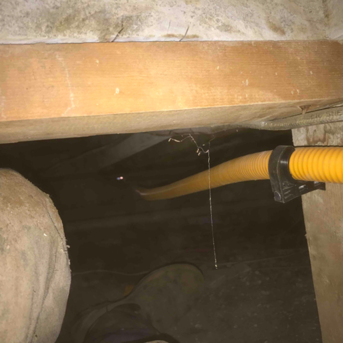 Crawl space repair