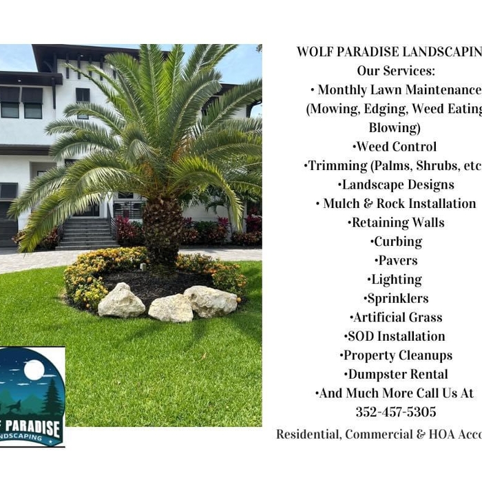 Our Services