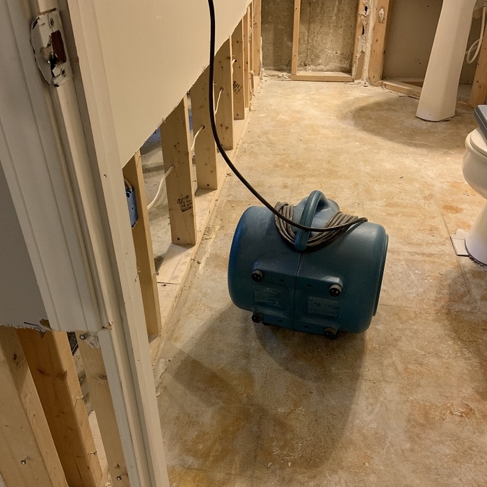 Water Mitigation