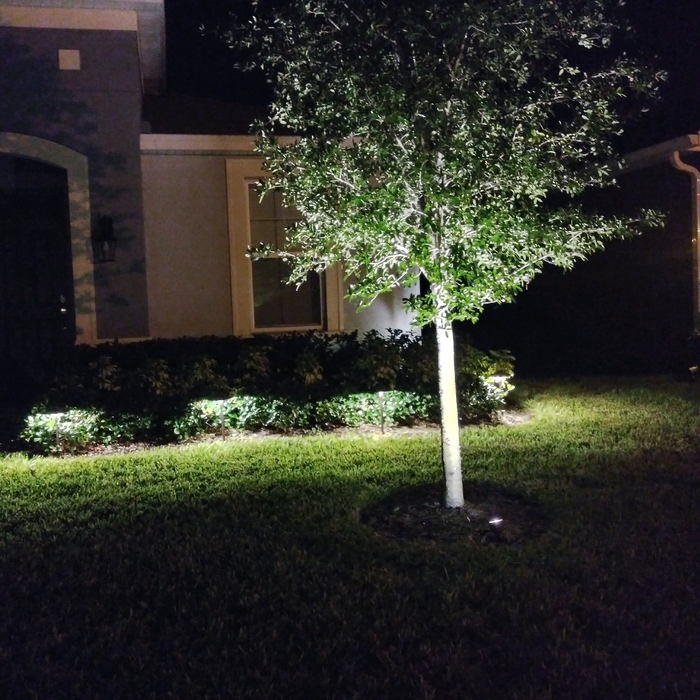 Lighting