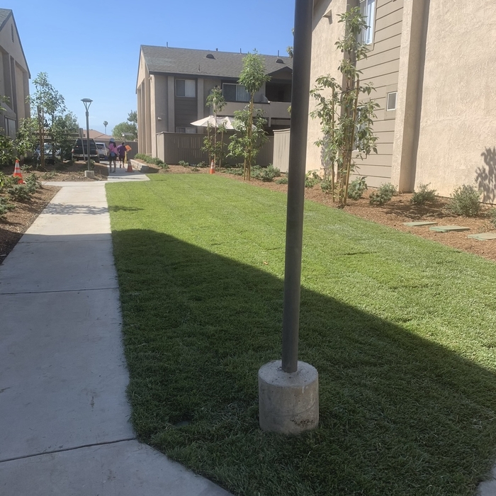Turf Installation