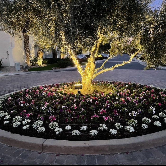 Flower Installation