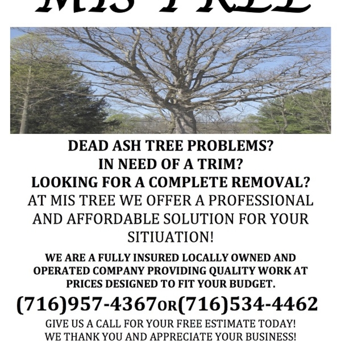 10% off all dead Ash removal