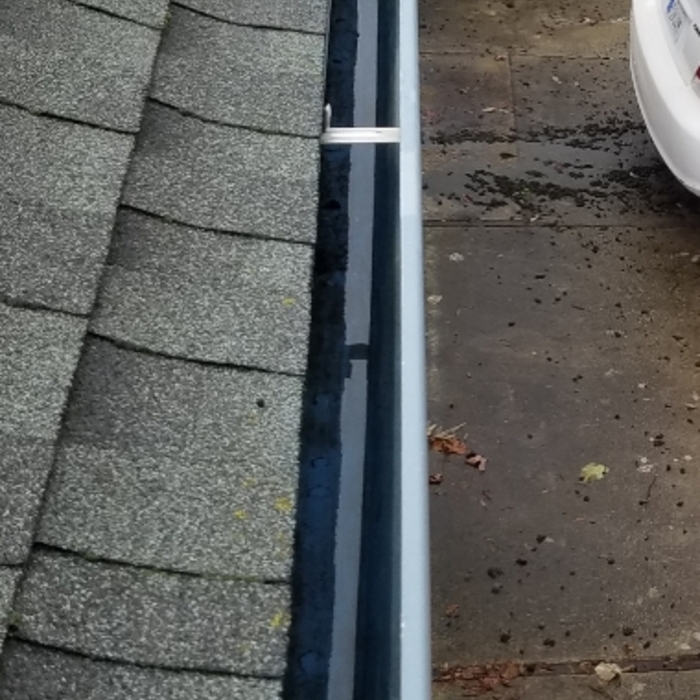 Gutter Cleaning