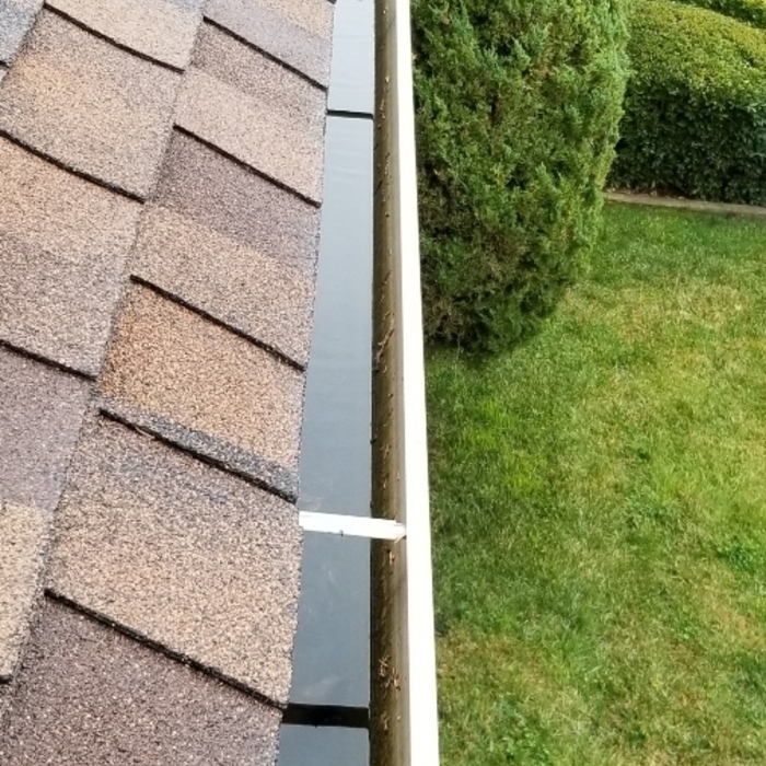 Gutter Cleaning
