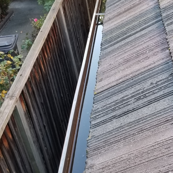 Gutter Cleaning