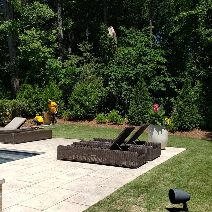 Backyard Retreat