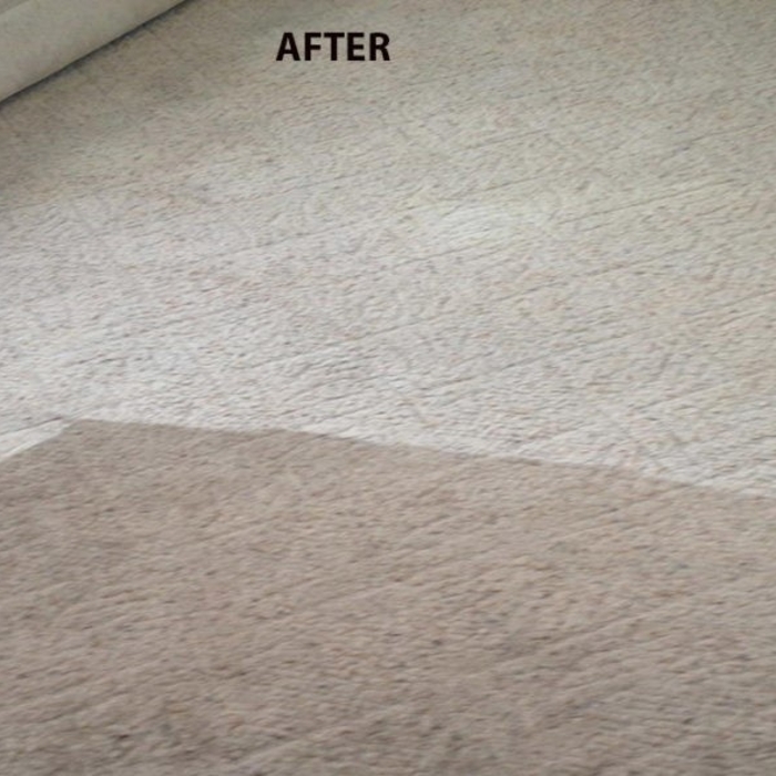 Carpet Cleaning