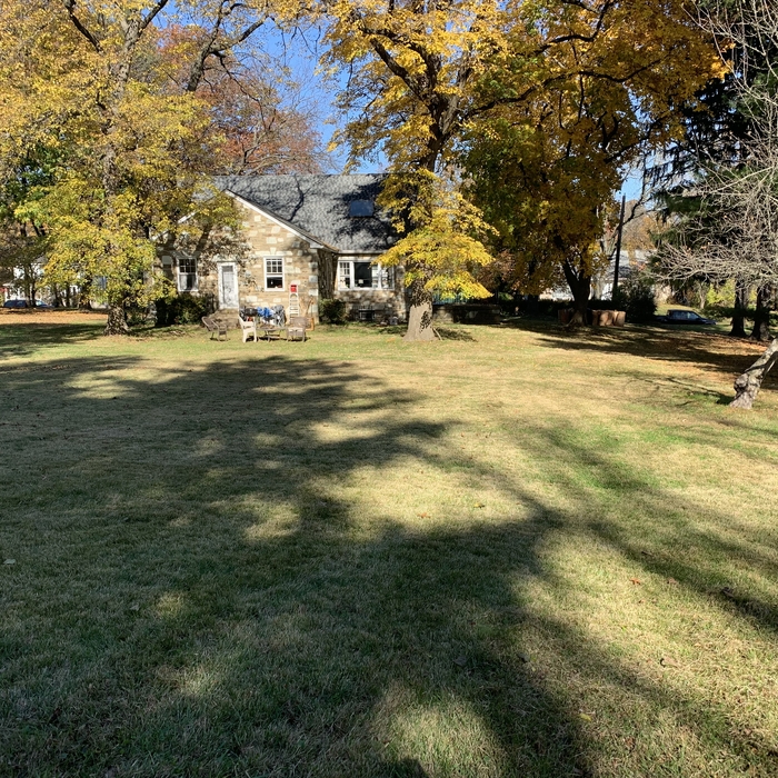 Leaf clean up