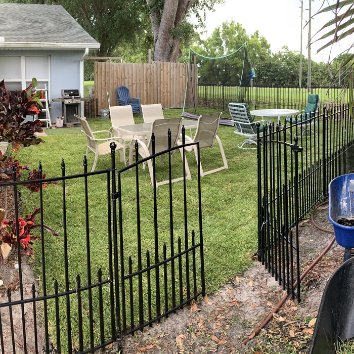 After Sod Install