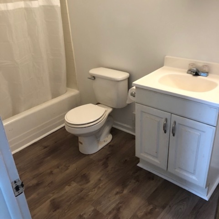 Bathroom repair