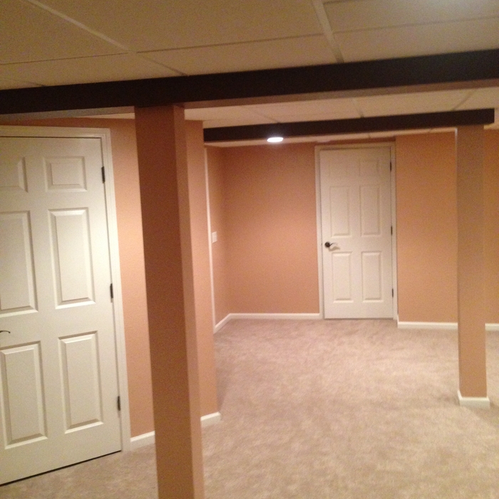 Basement Remodel