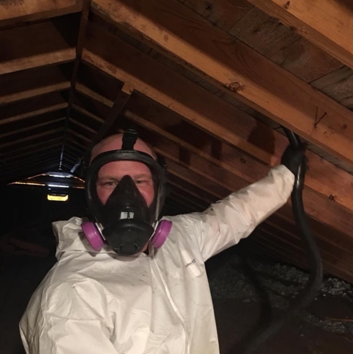 Mold Remediation