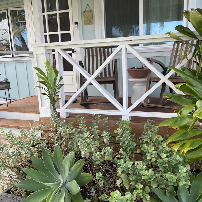 Front porch