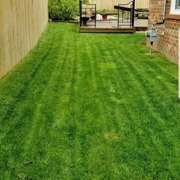 Spring Lawn 4