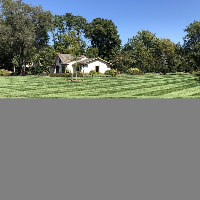 Mowing