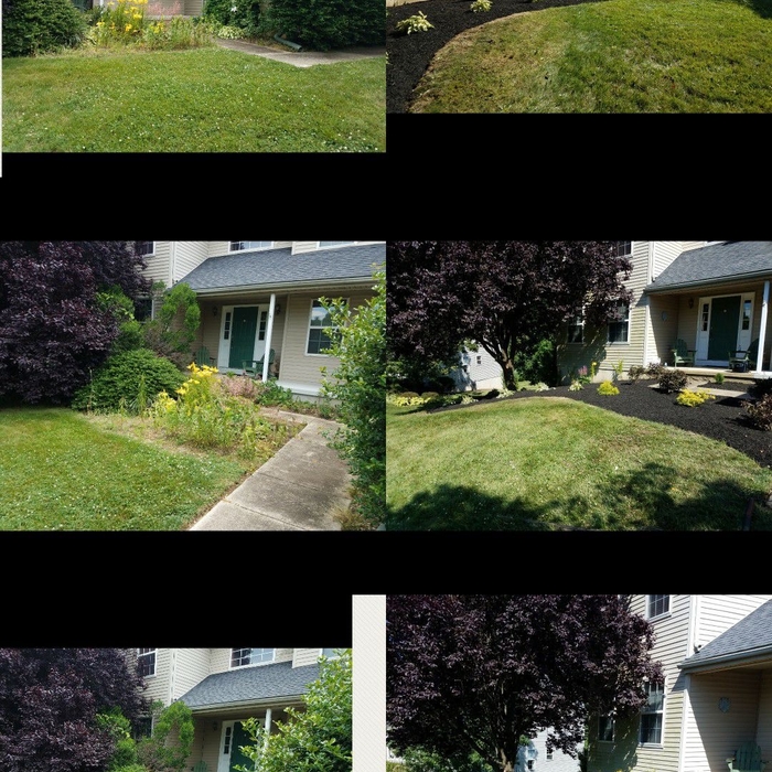 Landscaping