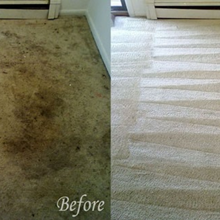 Quality carpet clean