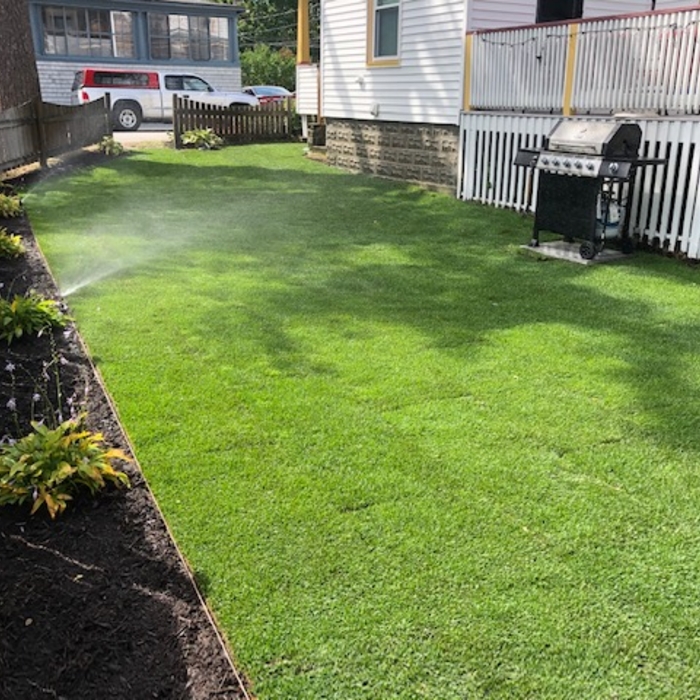 Lawn