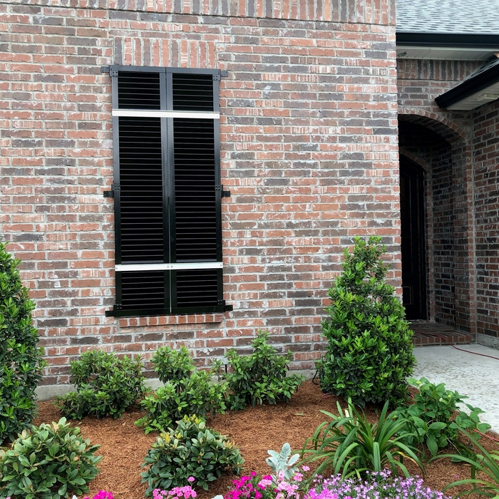 Colonial Shutters
