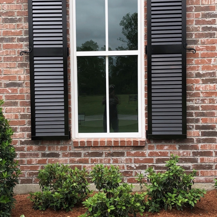 Colonial Shutters