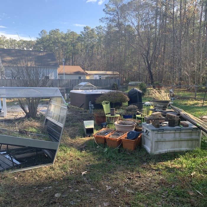Back Yard Clean Up - Before