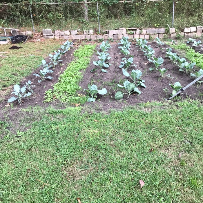 In-ground garden