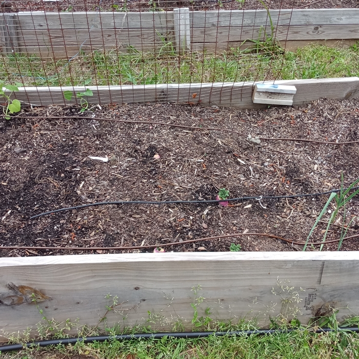 Raised grow bed with irrigation