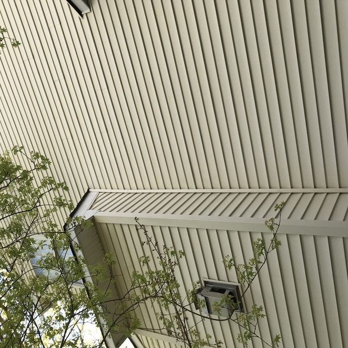 Vinyl Siding