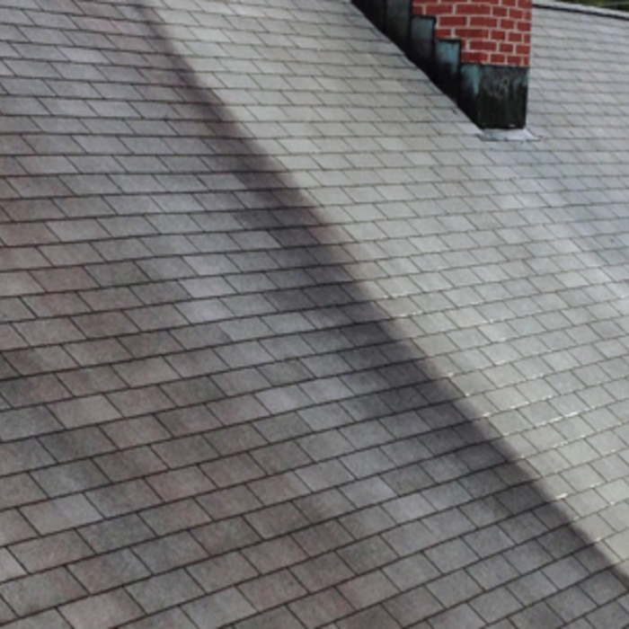 Algae Streaks Removal